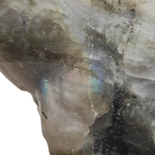 Load image into Gallery viewer, Giraffe