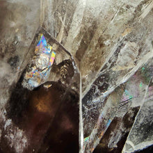 Load image into Gallery viewer, Smoky Quartz + Citrine + Blue Needle Feather Point #99