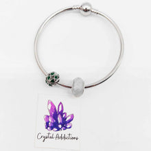 Load image into Gallery viewer, Pandora Bracelet + Charms