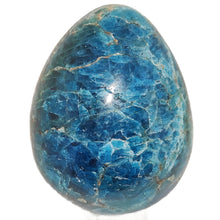 Load image into Gallery viewer, Apatite Egg # 169