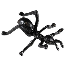 Load image into Gallery viewer, Ant Sphere Stand