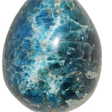Load image into Gallery viewer, Apatite Egg # 169