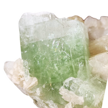 Load image into Gallery viewer, Green Apophyllite + Stilbite Cluster # 174