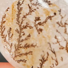 Load image into Gallery viewer, Dendritic Quartz Sphere w/Star # 40