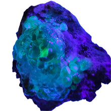 Load image into Gallery viewer, Mexican Hyalite Opal # 87