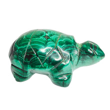Load image into Gallery viewer, Malachite Turtle # 89