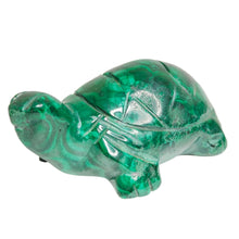Load image into Gallery viewer, Malachite Turtle # 51