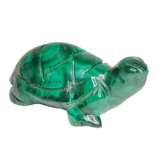 Load image into Gallery viewer, Malachite Turtle # 51