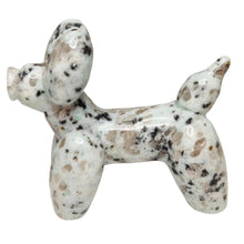 Load image into Gallery viewer, Kiwi Jasper Balloon Dog # 144