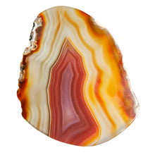 Load image into Gallery viewer, Agate Slice # 33