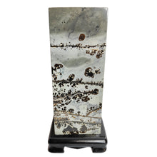 Load image into Gallery viewer, Dendritic Picture Jasper Pillar # 48