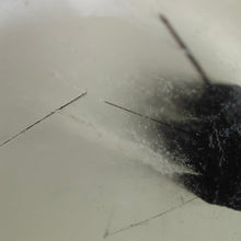 Load image into Gallery viewer, Black Tourmaline in Quartz Sphere # 88