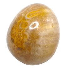 Load image into Gallery viewer, Fossil Coral XL Tumble # 162