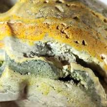 Load image into Gallery viewer, Bumblebee Jasper Skull # 108