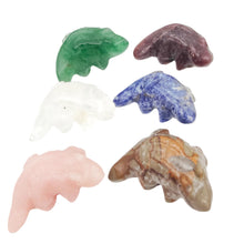 Load image into Gallery viewer, Crocodiles