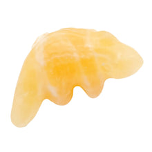 Load image into Gallery viewer, Crocodiles