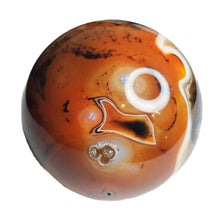 Load image into Gallery viewer, Sardonyx Sphere # 96