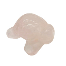 Load image into Gallery viewer, Sea Turtles