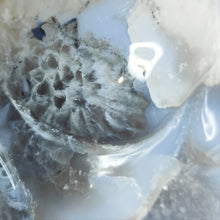 Load image into Gallery viewer, Druzy Agate Rabbit # 70