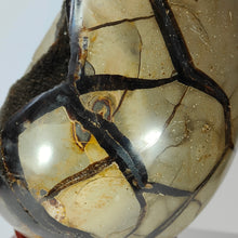 Load image into Gallery viewer, Septarian Druzy Egg # 122