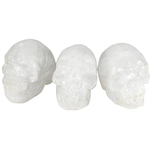 Load image into Gallery viewer, Skulls Mini