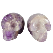 Load image into Gallery viewer, Skulls Mini