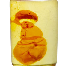 Load image into Gallery viewer, Amber Cabochon # 25