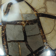 Load image into Gallery viewer, Septarian Druzy Egg # 122