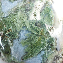 Load image into Gallery viewer, Moss Agate Mushroom # 90