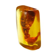 Load image into Gallery viewer, Amber Cabochon # 25