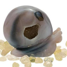 Load image into Gallery viewer, Agate Druzy Snail #44