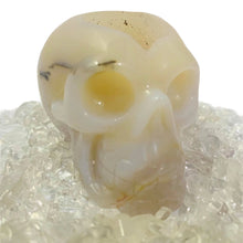 Load image into Gallery viewer, Agate Druzy Geode Skull #168