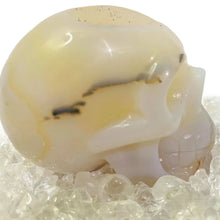 Load image into Gallery viewer, Agate Druzy Geode Skull #168