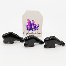 Load image into Gallery viewer, Dolphins Mini