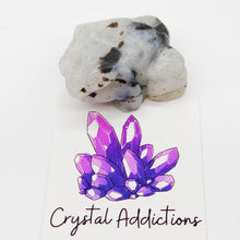 Load image into Gallery viewer, Frogs Mini Assorted