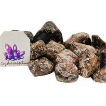 Load image into Gallery viewer, Turritella Agate Tumble