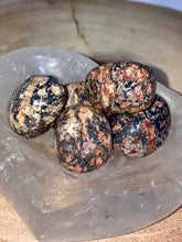 Load image into Gallery viewer, Leopard Skin Jasper Tumble