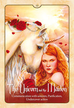 Load image into Gallery viewer, Wild Wisdom of the Faery Oracle - New Edition