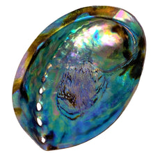 Load image into Gallery viewer, Bright Abalone Shell