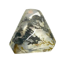 Load image into Gallery viewer, Dendrite in Quartz Cabochon # 53
