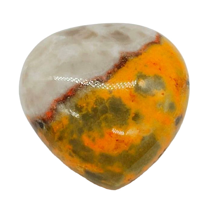 Bumblebee Jasper Heart # 84