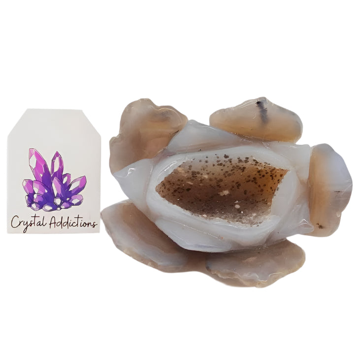Druzy Agate Lotus Flower # 25