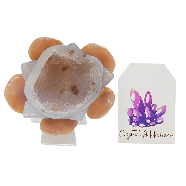 Druzy Agate Lotus Flower # 158