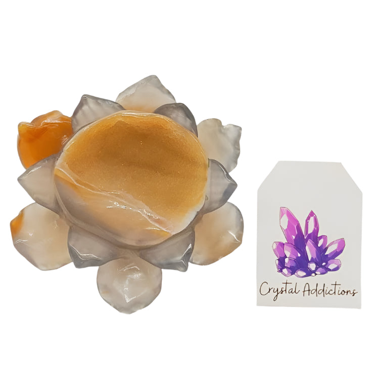 Druzy Agate Lotus Flower # 99