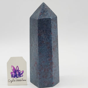Ruby in Kyanite Point # 180