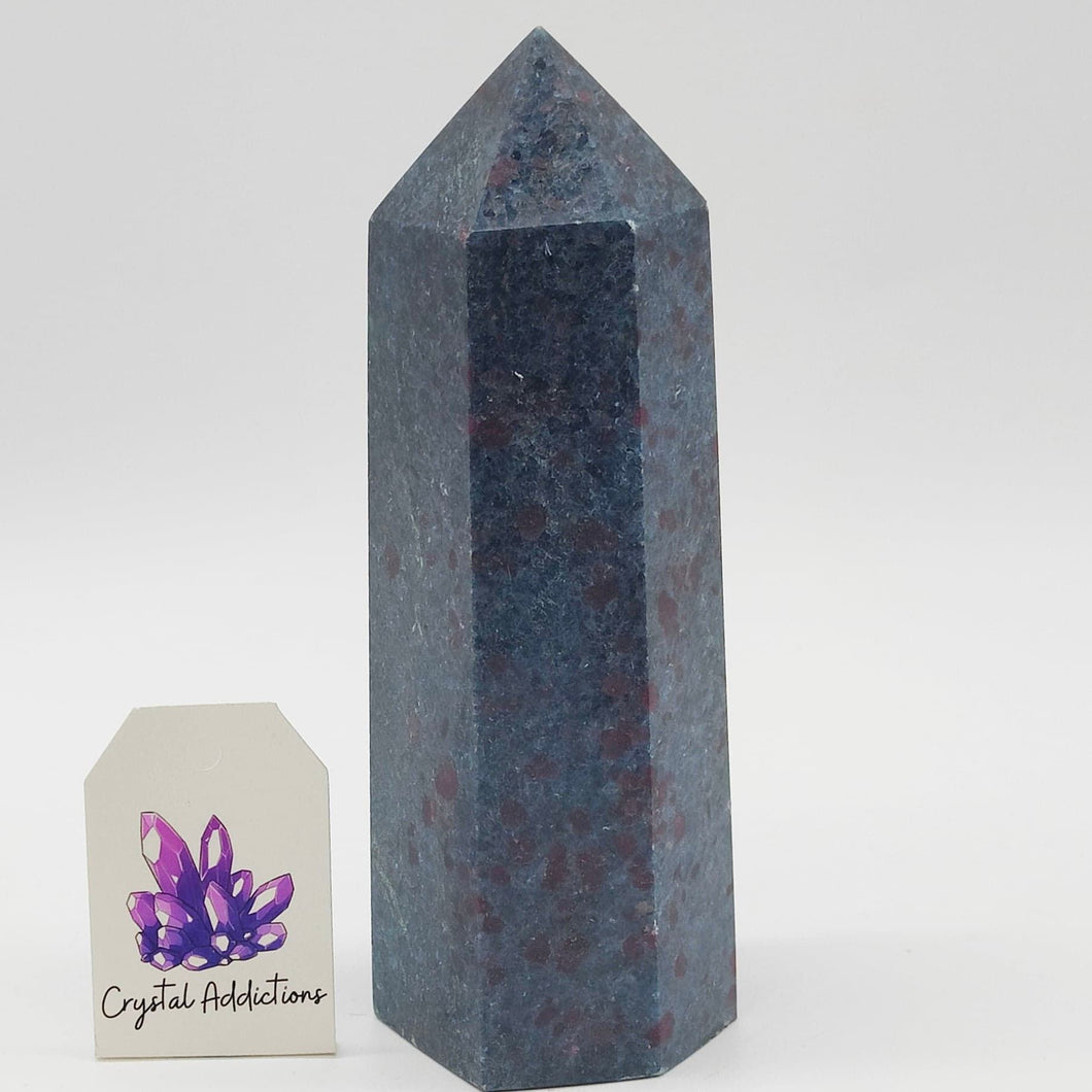 Ruby in Kyanite Point # 180
