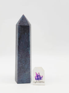 Ruby in Kyanite Point # 23