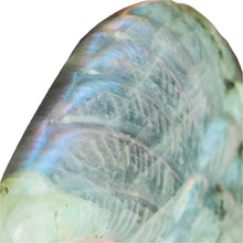 Load image into Gallery viewer, Labradorite Wing with Stand  # 57
