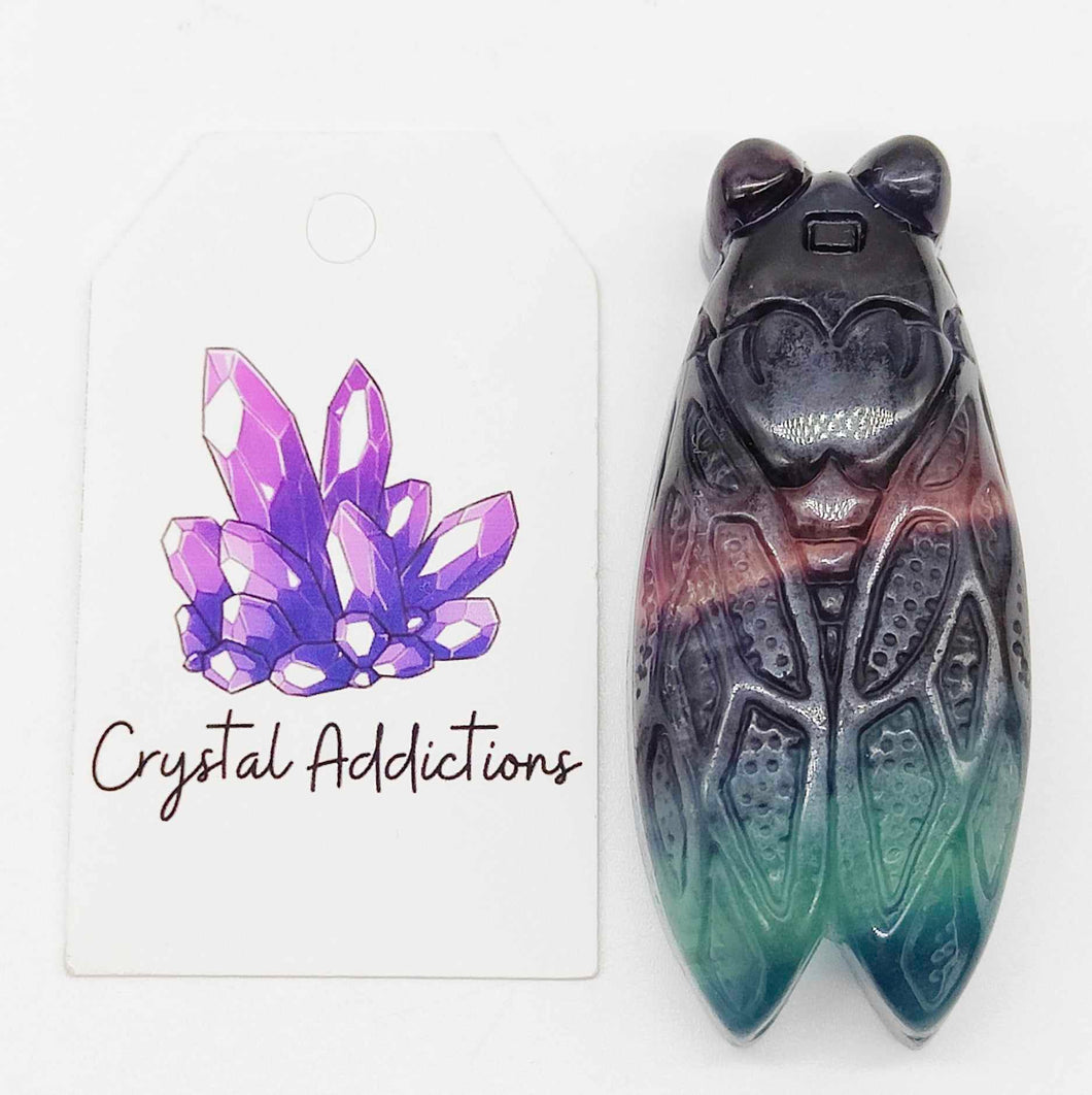 Rainbow Fluorite Cicada # 91