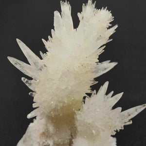 Gypsum Specimen # 81